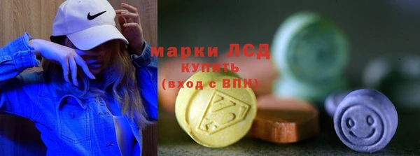 стаф Алзамай