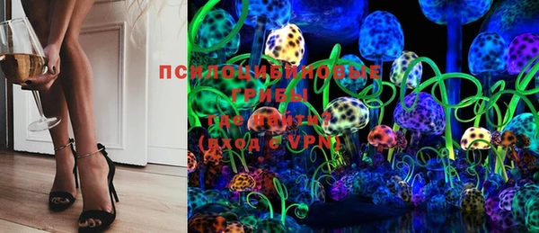 Альфа ПВП Каменка