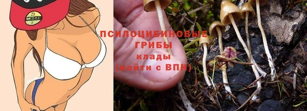 ГАЛЛЮЦИНОГЕННЫЕ ГРИБЫ Абаза