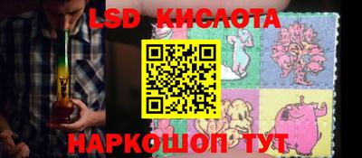 прущие грибы Новодвинск
