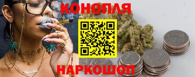 СК Новокубанск