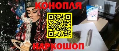 СК Новокубанск