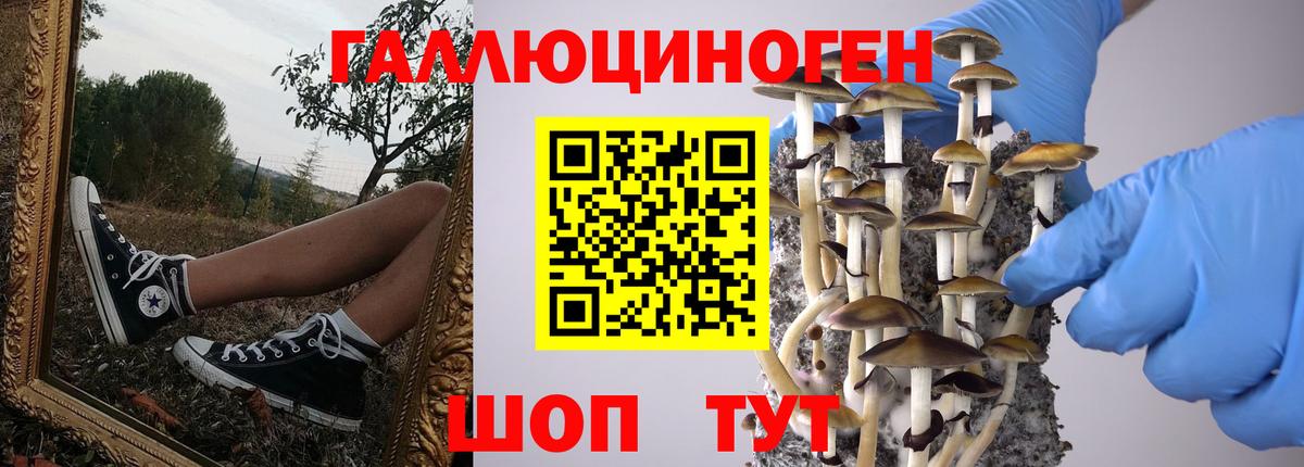 Уварово  Галлюциногенные грибы Cubensis  Галлюциногенные грибы Psilocybine cubensis  Вход с VPN 